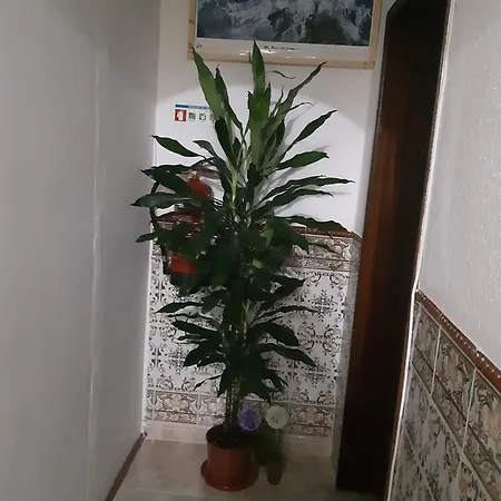 Namaste Homestay szállás