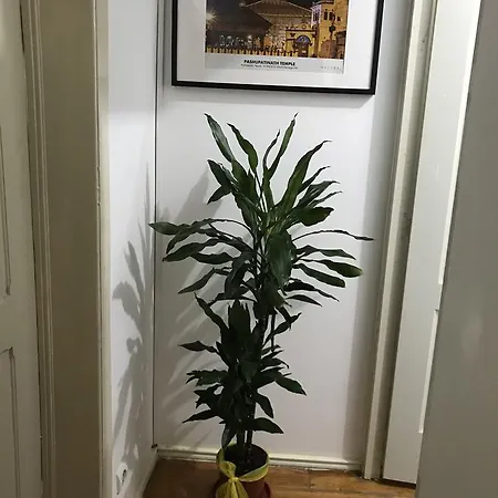 Namaste Homestay szállás Lisboa