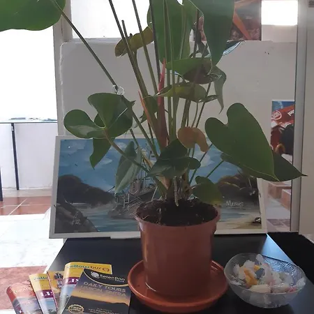 Namaste Homestay szállás *